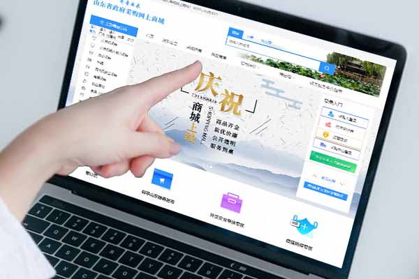 政府采购网上商城入驻对接业务，现面向全山东省招募代理合作伙伴！！！缩略图